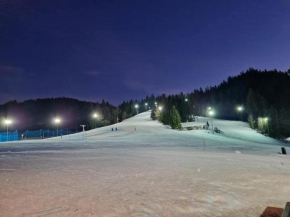 Apartma Ribnica na Pohorju